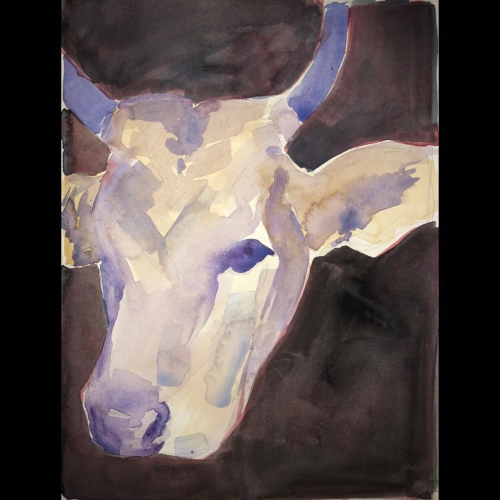 Cow Portrait, 2018